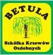 BETULA - Szkółka Drzew i Krzewów Ozdobnych